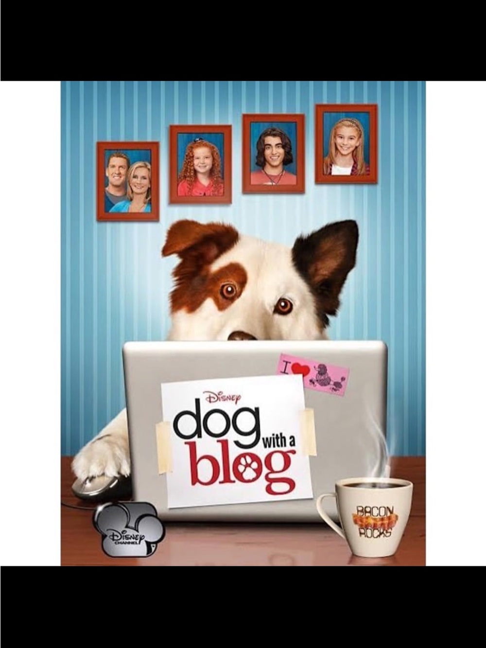 Dog With A Blog Seasons 1-3 Complete Series DVD Made on Demand